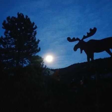 Alpine Moose Lodge Lake City Exteriör bild