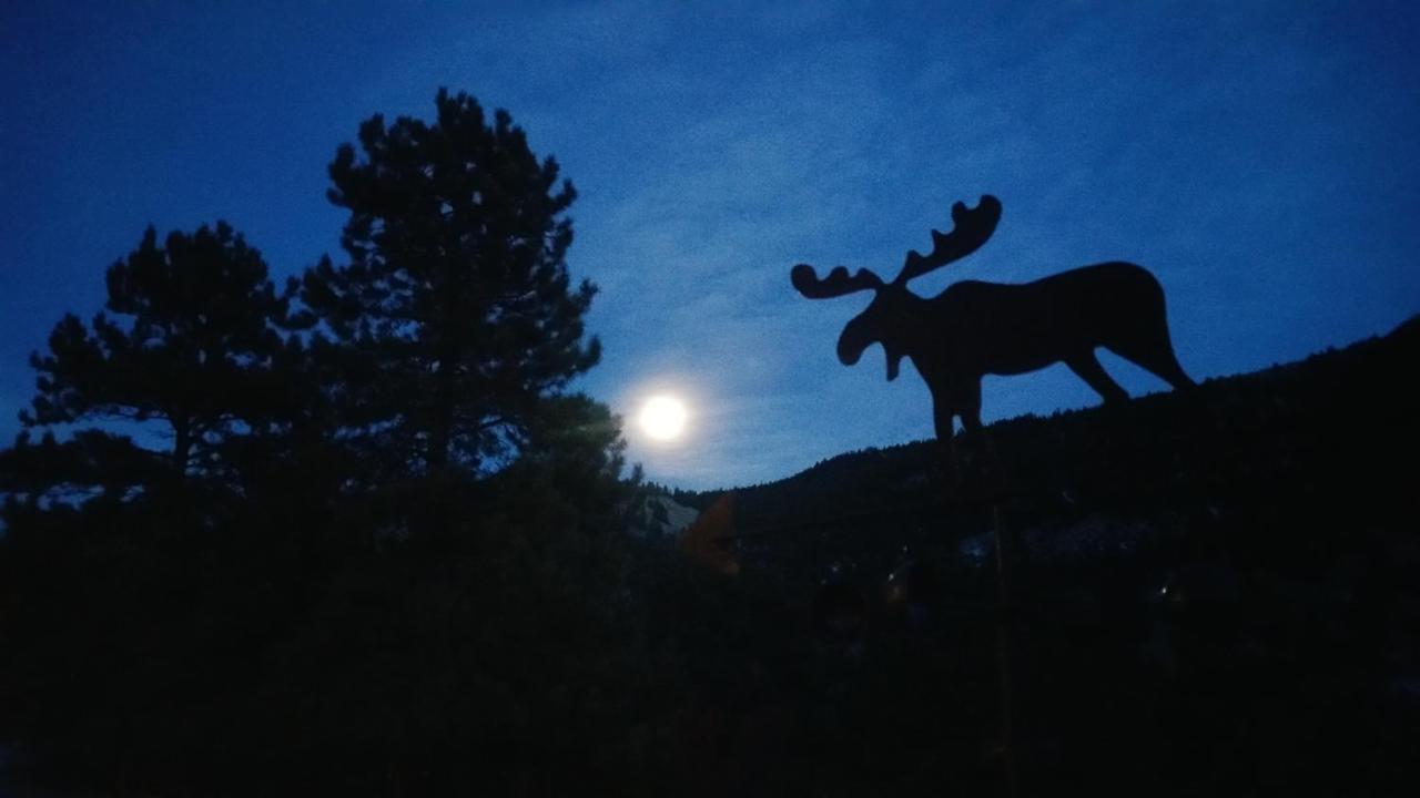 Alpine Moose Lodge Lake City Exteriör bild