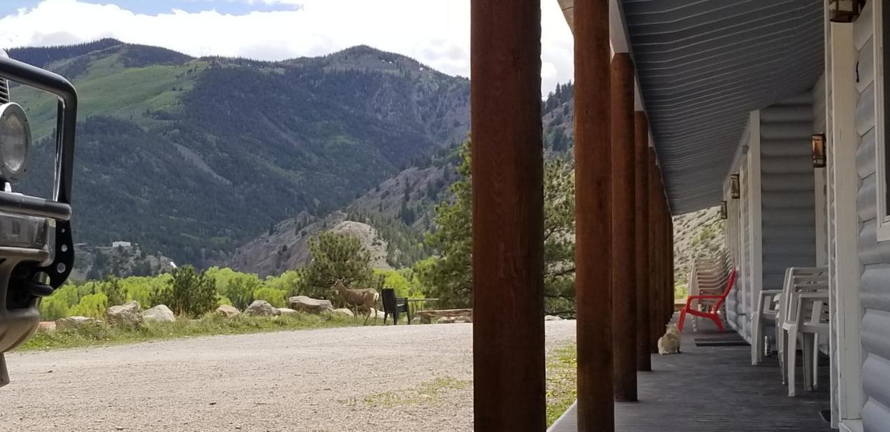 Alpine Moose Lodge Lake City Exteriör bild